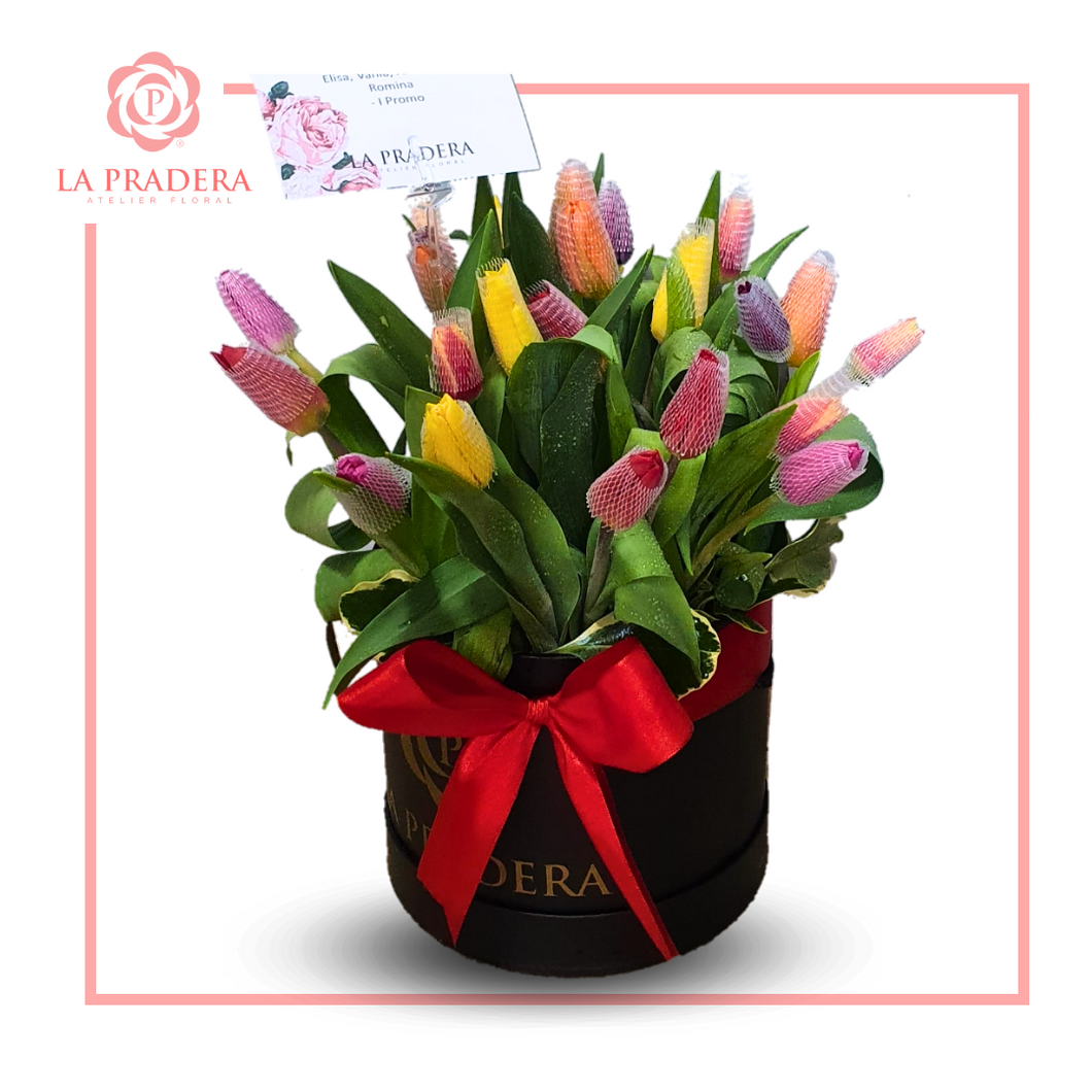 Box de 20 tulipanes