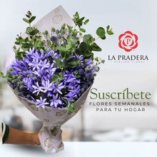 Cargar imagen en el visor de la galería, RAMO DE AGAPANTHUS
