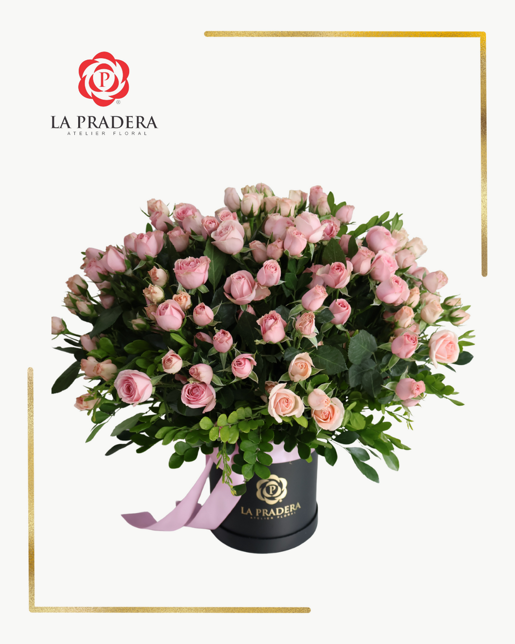 Box de Minirosas